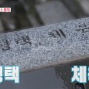 대월면 실내체육관 | 너는내운명 이형택 체육관 촬영지 장소 위치 어디? 동상이몽 현역 복귀 테니스 황제, 이형택 코트...