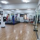 강북권투 이미지