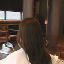 올리브헤어 이미지