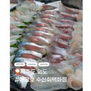 외도 | 제주도 고등어회맛집 외도해양호수산회백화점 후기