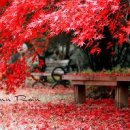 친구처럼B 이미지