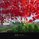 전북 전주 가을여행지 한국도로공사 전주수목원 이미지