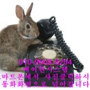 우일시스템 이미지
