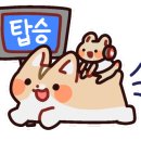 교반비빔밥&카레 이미지