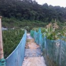 와라당구장 이미지