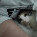 박건강