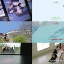 나인 이미지