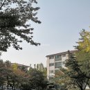 방배임광3차 이미지