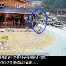 cctv에 포착된 격리시설 이탈했던 신천지(충북 보은) 이미지