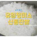 좋은쌀로 밥짓고 | 밥맛 좋은 유일정미소 신동진쌀 윤기 좔좔