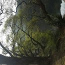 우리산약초 이미지