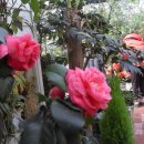 산정농원 이미지