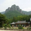 주왕산약국 이미지