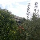 외갓집클라스 이미지