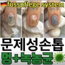 세라네일 이미지