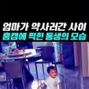 엄마가 홈캠보고 운 이유 이미지