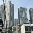 7462 | 매화당 울산 용한 점집 점사 후기