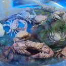 땅끝해양 자연사박물관 이미지