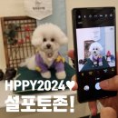 솜솜 애견미용 | 애견유치원 강아지포토존 추천! 설날이왔어요 :D