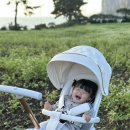(주)올로 | 올로베베 유모카 3주 사용후기 장점
