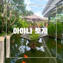풀바다 | 조식 먹고 바로 수영! 아야나 토게 뷔페와 바다 보이는 메인풀 후기