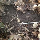 광리농장 이미지