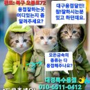 제이오토모빌 이미지