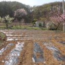 양평 가나안농군학교 인근 2차선변 전원주택지 (580평/평당40만) 이미지