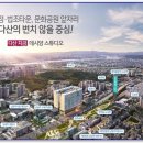 다산지금데시앙 이미지