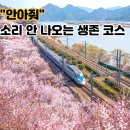 원동초등학교 | 2026 양산 원동 매화축제 아이랑 "안아줘 소리 쏙?" 1박2일 코스 &amp; 주차팁