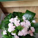 샬롬주유소 이미지