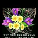 선민 이미지