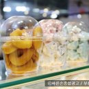 바른손기획 이미지