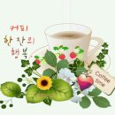 따뜻한 차 한잔 골라드세요~♬ 이미지