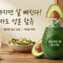 카젠 | 아보카젠정 내돈!내산!후기_재업로드