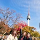 빌리브 인더시티 남산 | 가을 시즌 11월 단풍구경-서울시티투어버스 주간도심고궁남산코스 2탄 후기