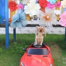 무프스 유치원 이미지