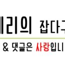 에스코트자동차용품