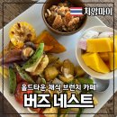 버즈네스트