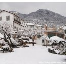 코리아 뮤직파크 이미지