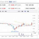 선화양봉 이미지