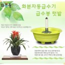 화분들닷컴 이미지
