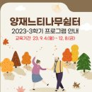 양재느티나무쉼터 이미지