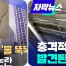 세아초등학교 주변 이미지