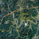 황금박쥐캠핑장 이미지