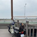 완주육전 | 부산갈맷길 완주 도전1탄: 6-1구간솔직후기(낙동강하구둑, 삼락생태공원 중간이탈..)
