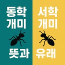 개미정비 | 동학개미·서학개미 뜻과 유래, 투자 현황 총정리