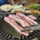 마포생고기