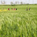 김호영농장 이미지