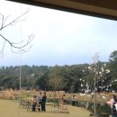 제주 자락 | 제주 서귀포 가볼만한 곳 비내리는 날 한라산 자락의 아늑한 정원 카페 &#34;담소요&#34;